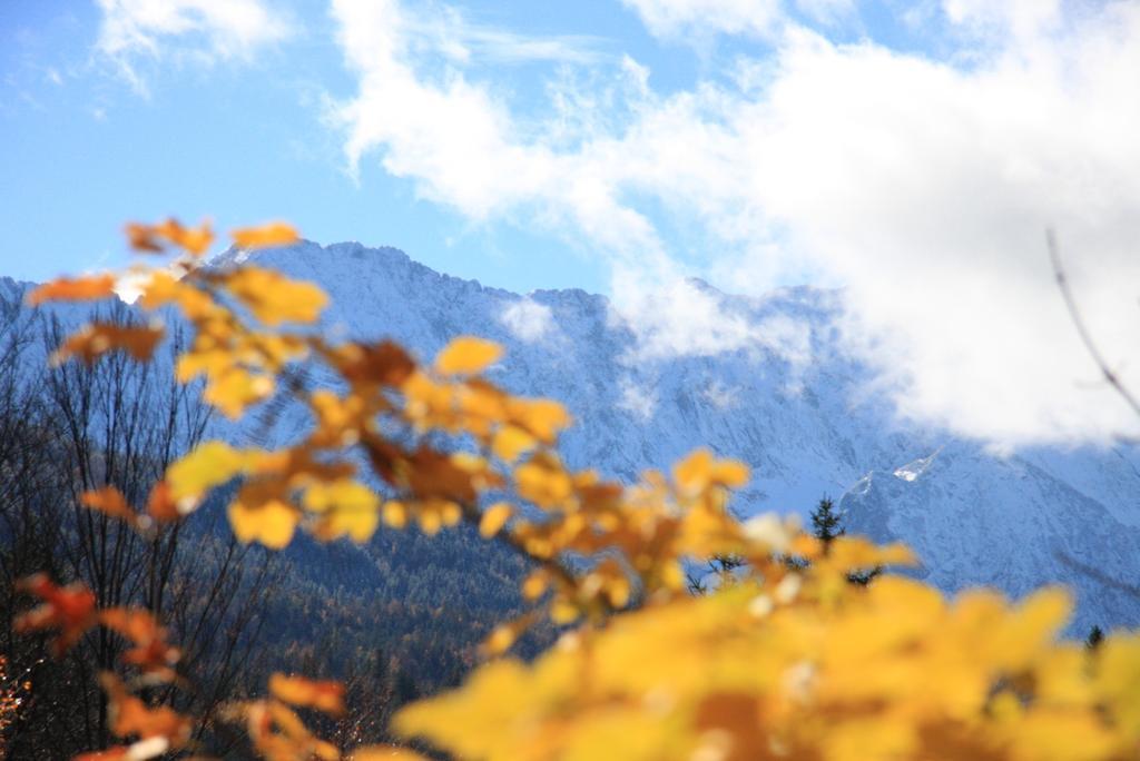 Berghaus Alpenland Apartment クレー エクステリア 写真